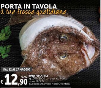 Deco Supermercati RANA PESCATRICE g 1000/2000 offerta