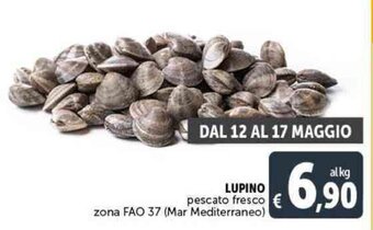 Deco Supermercati LUPINO pescato fresco offerta