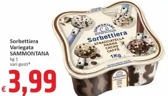 Sorbettiera Variegata SAMMONTANA kg 1