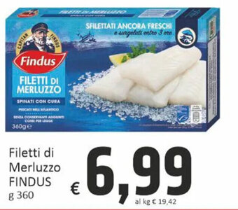 Paghi Poco Filetti di Merluzzo FINDUS g 360 offerta
