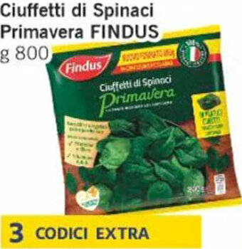 Paghi Poco Ciuffetti di Spinaci Primavera FINDUS g 800 offerta