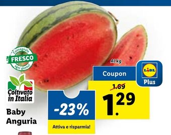 Lidl Baby Anguria offerta