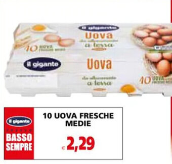 Il Gigante Il gigante 10 UOVA FRESCHE MEDIE offerta