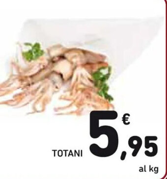 Spazio Conad TOTANI offerta