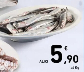 Spazio Conad ALICI offerta