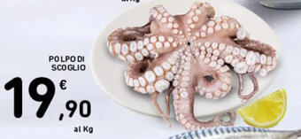 Spazio Conad POLPO DI SCOGLIO offerta
