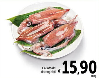 Spazio Conad CALAMARI decongelati offerta