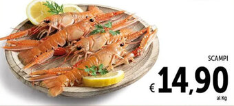 Spazio Conad SCAMPI offerta