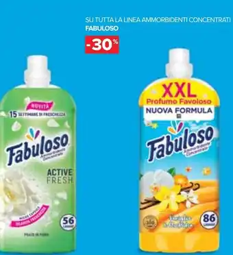Carrefour SU TUTTA LA LINEA AMMORBIDENTI CONCENTRATI FABULOSO offerta