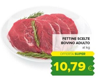 Tigre FETTINE SCELTE BOVINO ADULTO offerta