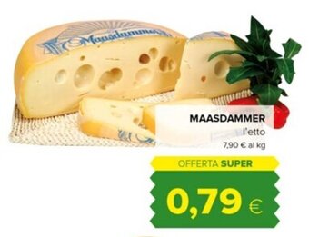 Tigre MAASDAMMER offerta