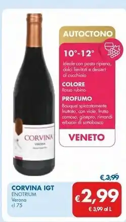 MD Discount Enotrium corvina igt offerta