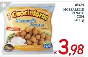 Cgm mozzarelle panate