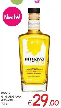 Zona Ungava - gin offerta