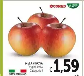 Mela pinova