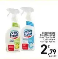 ALDI Piante verdi offerta