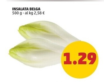 PENNY Insalata belga offerta