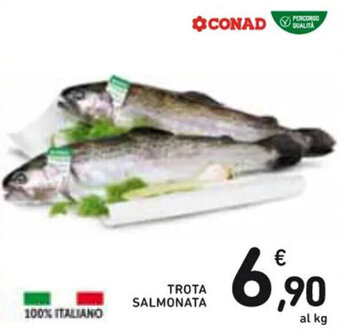 Spazio Conad TROTA SALMONATA offerta
