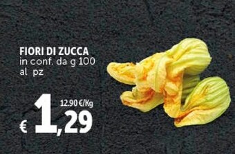 Fiori di zucca