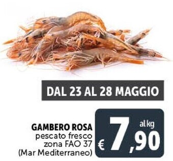 Gambero rosa