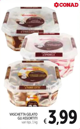 Spazio Conad VASCHETTA GELATO GLI ASSORTITI vari tipi, 1 kg offerta