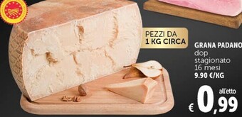 Gourmet Déco Grana padano offerta