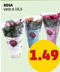Tigros The icelander salmone islandese offerta