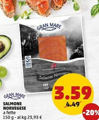 Gran mare salmone norvegese