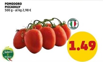 PENNY Pomodoro piccadilly offerta
