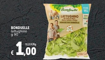 Bonduelle lattughino