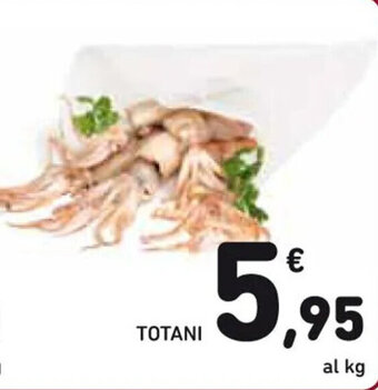 Spazio Conad TOTANI offerta