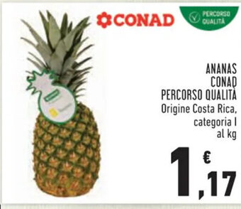 Conad ANANAS CONAD PERCORSO QUALITÀ offerta