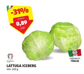 ALDI LATTUGA ICEBERG min. 400 g offerta
