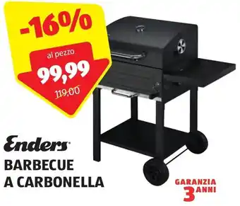 ALDI Enders BARBECUE A CARBONELLA offerta