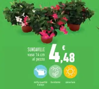 Conad Superstore SUNDAVILLE vaso 14 cm al pezzo offerta