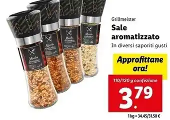 Lidl Grillmeister - sale aromatizzato offerta