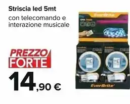 Everbrite striscia led 5mt
