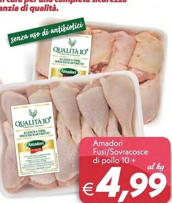 Amadori fusi / sovracosce di pollo 10+