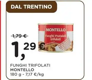 Spazio Conad Sammontana barattolino delizio offerta