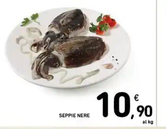 SEPPIE NERE