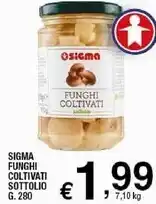Sigma Sigma funghi coltivati offerta