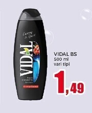 Happy Casa Vidal bs offerta