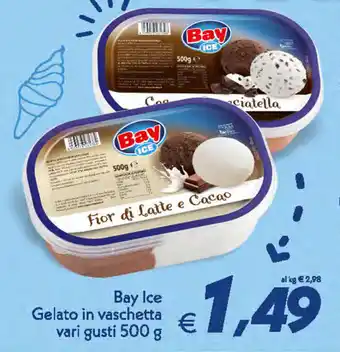 Iper Super Conveniente Bay Ice Gelato in vaschetta vari gusti 500g offerta