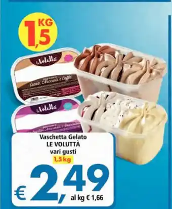 Alter Discount Le Voluttà Vaschetta Gelato vari gusti 1,5kg offerta