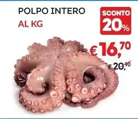 Spazio Conad Humana latte di proseguimento 2 offerta