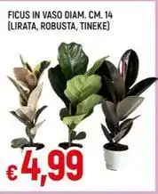 Spazio Conad Fatina frutta secca snack offerta