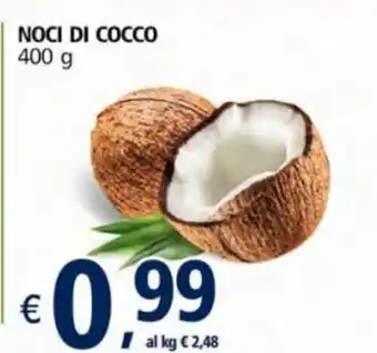 Alter Discount Noci di Cocco 400g offerta