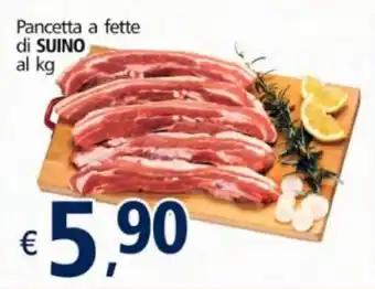 Alter Discount Suino Pancetta a fette offerta