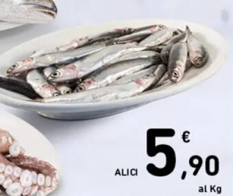 Spazio Conad ALICI offerta