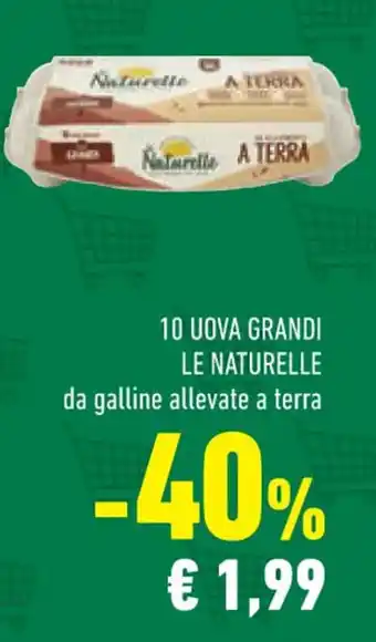 Conad 10 UOVA GRANDI LE NATURELLE offerta